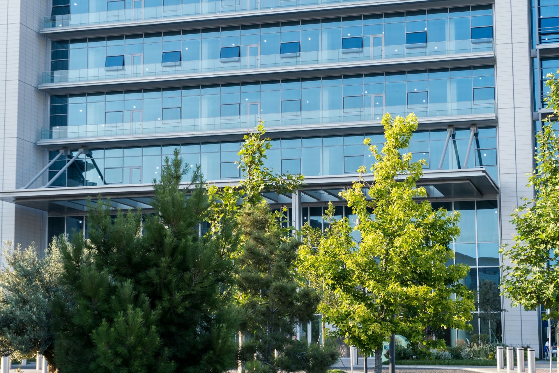 Immeuble de bureaux vitré derrière des arbres